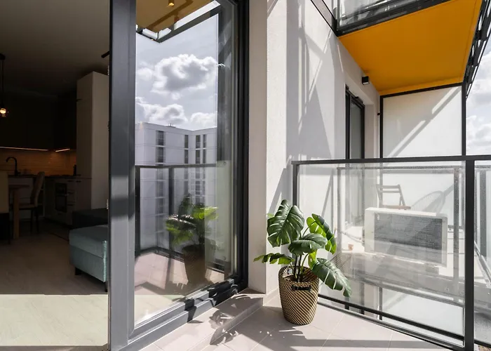 Premium Tea Herbu Oksza *